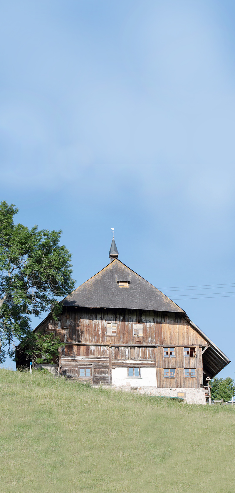 wildenhof_1
