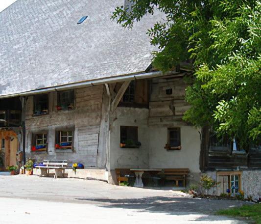 Der Wildenhof vor der Sanierung Der Wildenhof vor der Sanierung